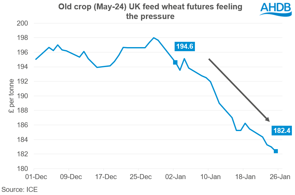 A graph showing UK feed wheat futures May 24